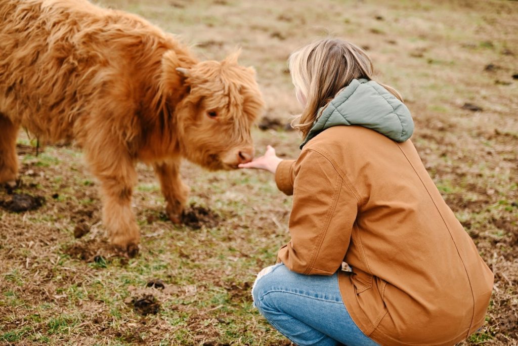 A woman in a brown jacket crouches down to pet a fluffy reddish-brown dog on a grassy farm area.