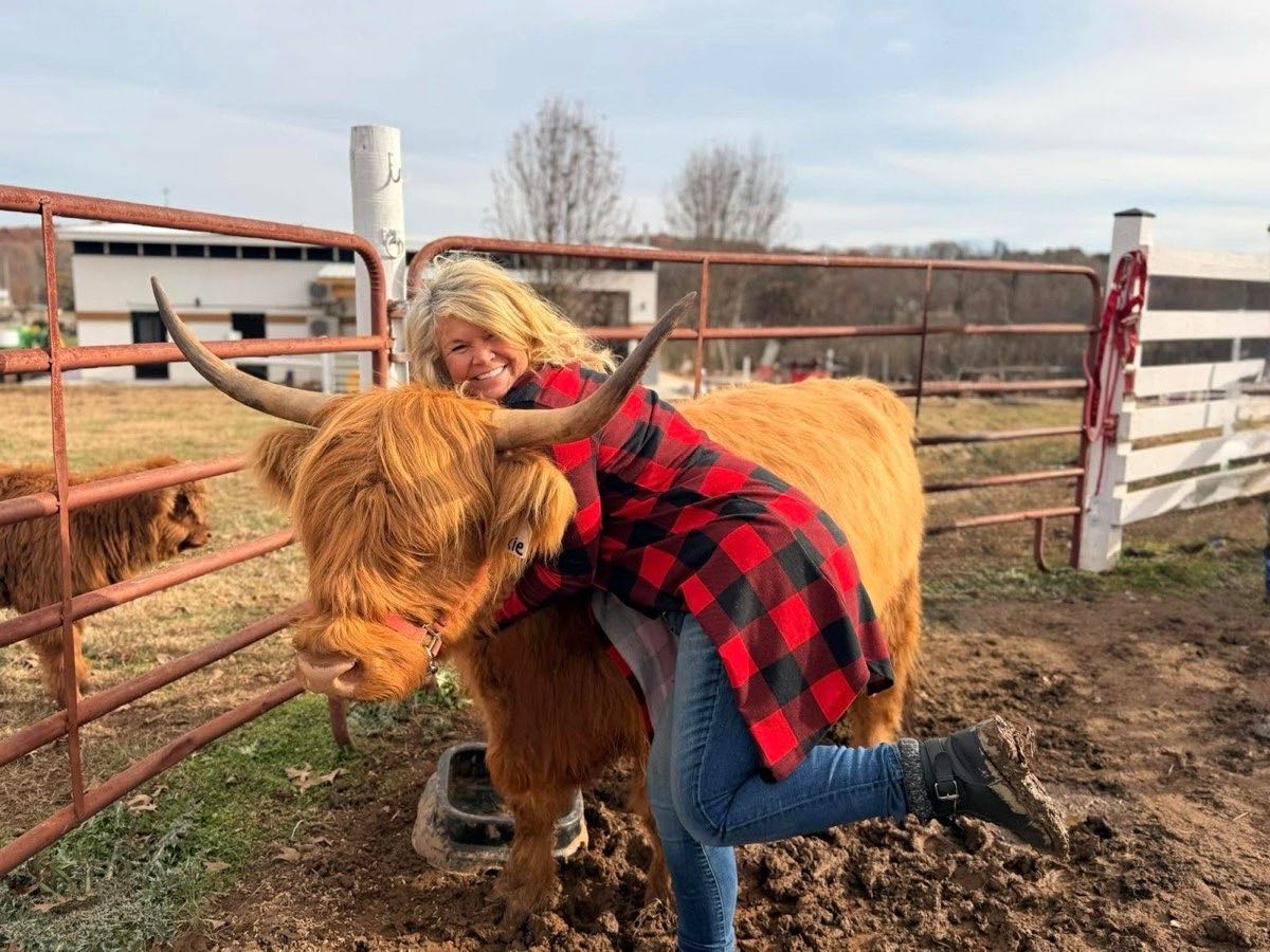 Bride hugging a Scottish Highland cow before her wedding